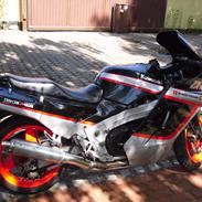 Kawasaki ZX 10