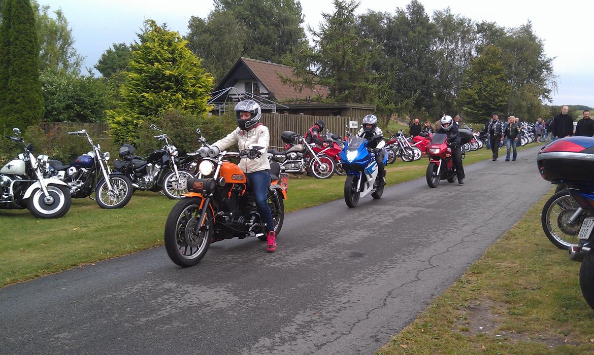 Orø træf 2012 billede 7