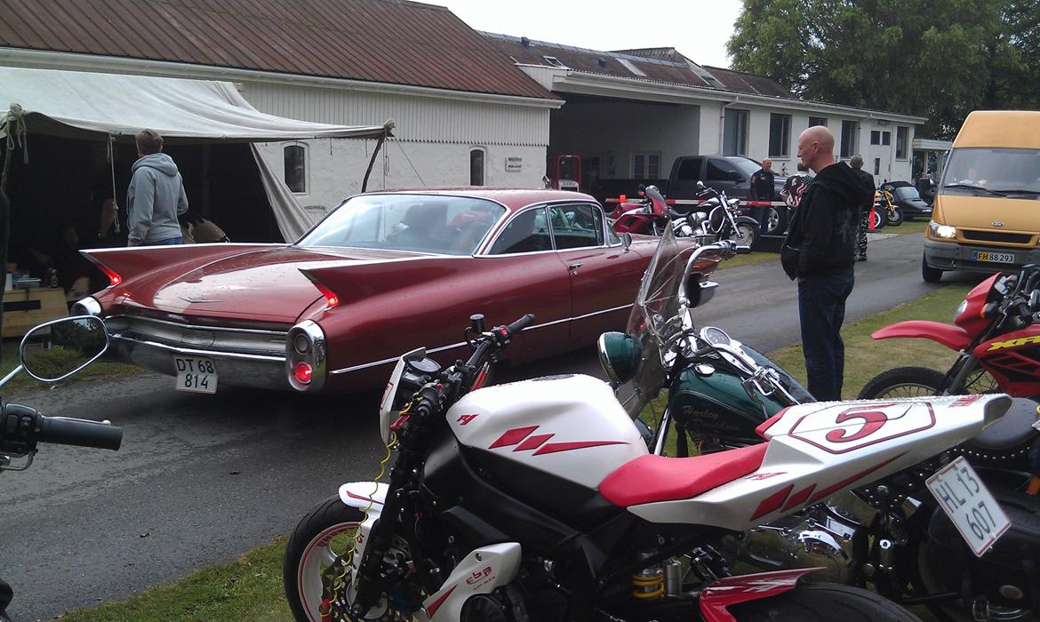 Orø træf 2012 billede 11