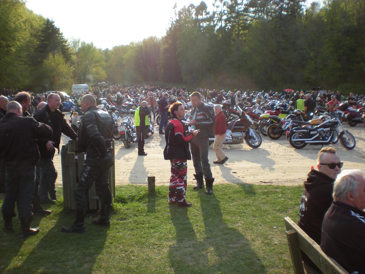 Lundby krat billede 3