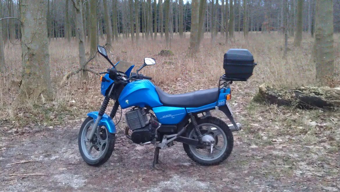 MZ 301 Saxon Tour i skoven billede 1