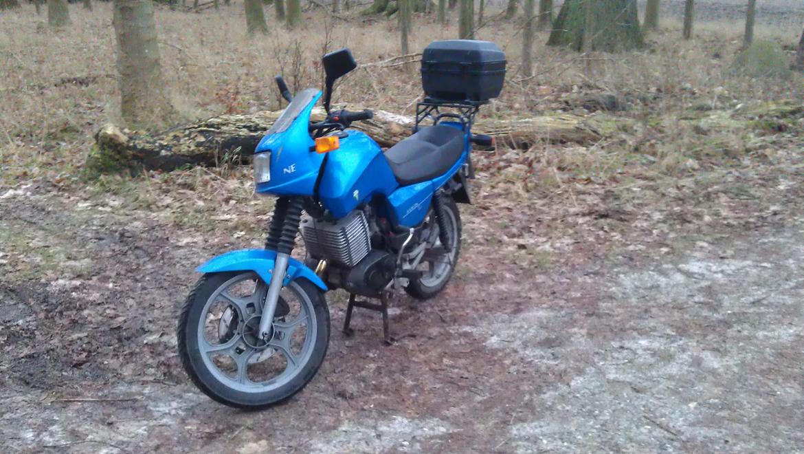 MZ 301 Saxon Tour i skoven billede 2