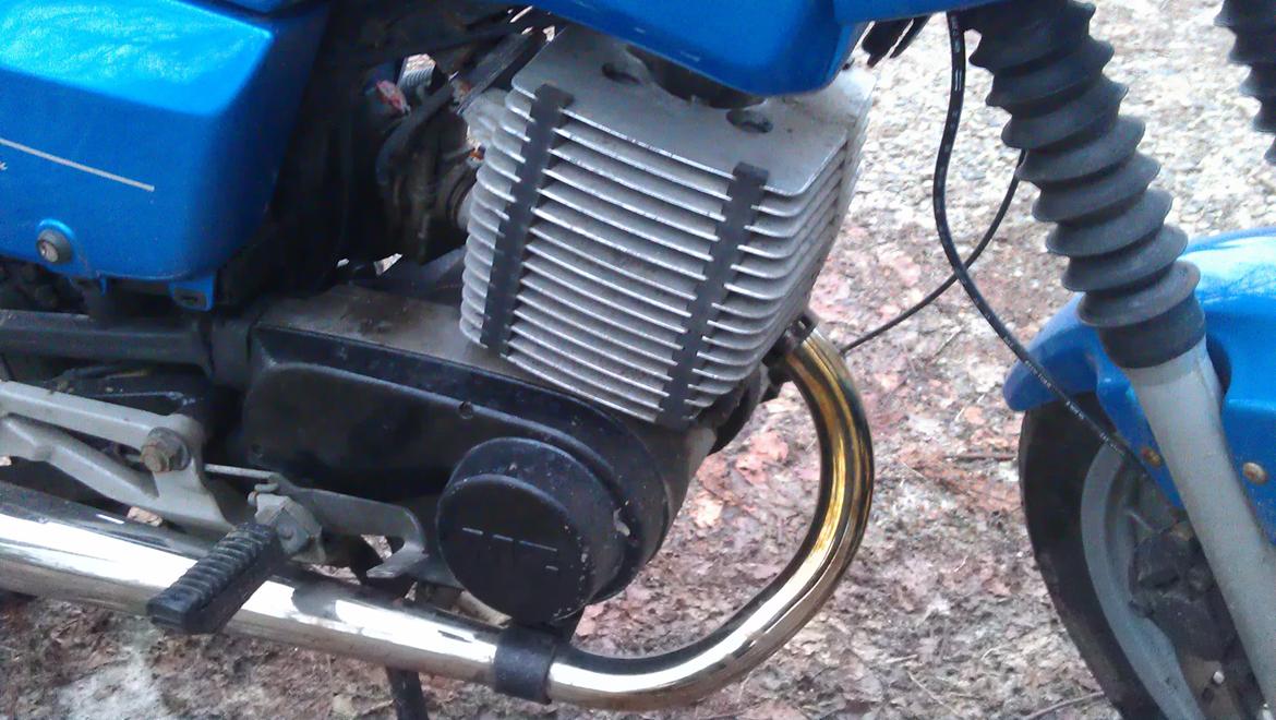 MZ 301 Saxon Tour i skoven billede 4