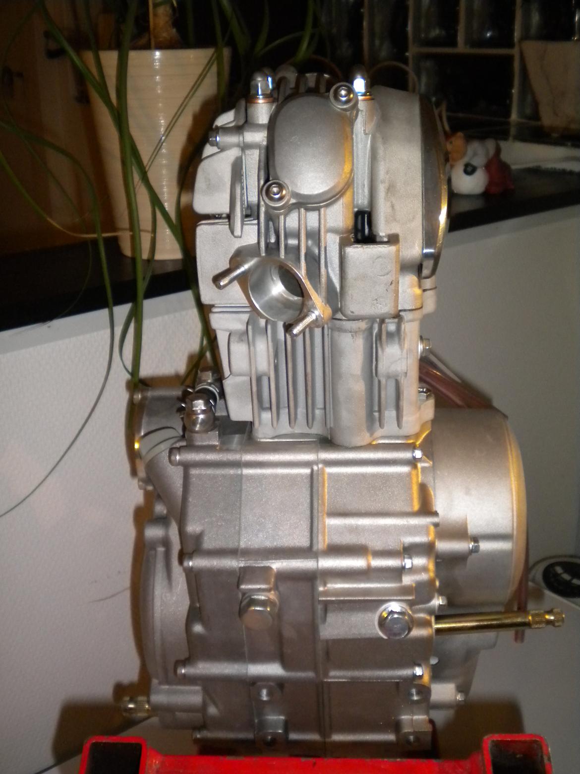 Honda Dax 150ccm Cafe Racer - Daytona 150ccm Købt billede 5