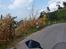 Thailand Den Gyldne Trekant 