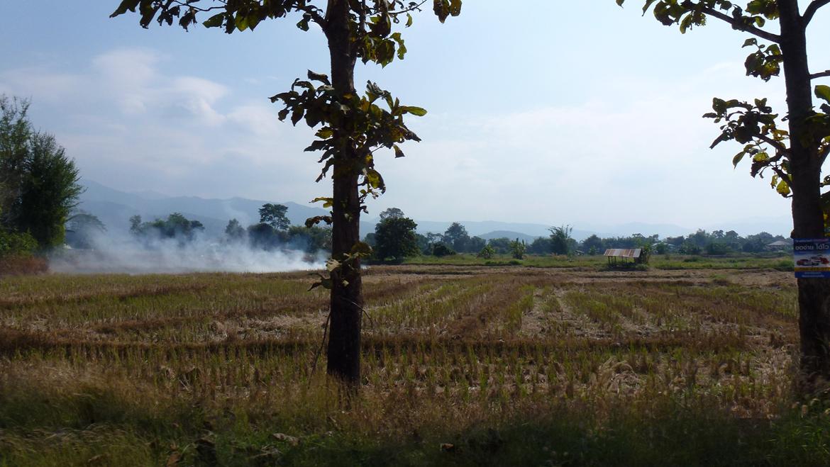 Thailand Den Gyldne Trekant  - Vi opgav Nan , og vil op i bjergene og have lidt mere, et eller andet , vi valgte ud fra kortet en by der hed Phu Chi Fa sådan ca , det staves på mange måder, det skulle blive en rimelig hård tur , med høje bjerge og på og over grændsen til Laos billede 63