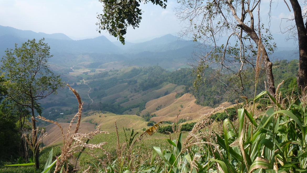 Thailand Den Gyldne Trekant  - Men udsigten er fin billede 76