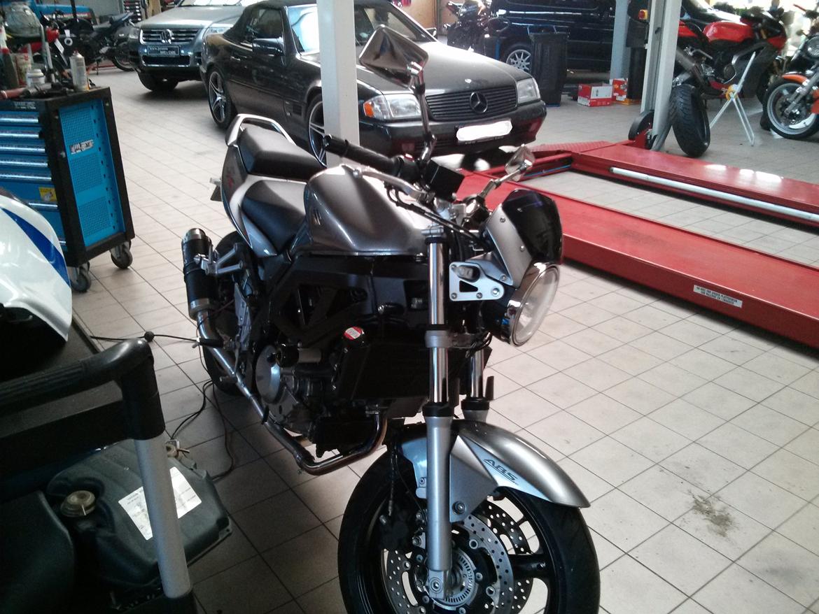 Lidt nyt på grislingen billede 1