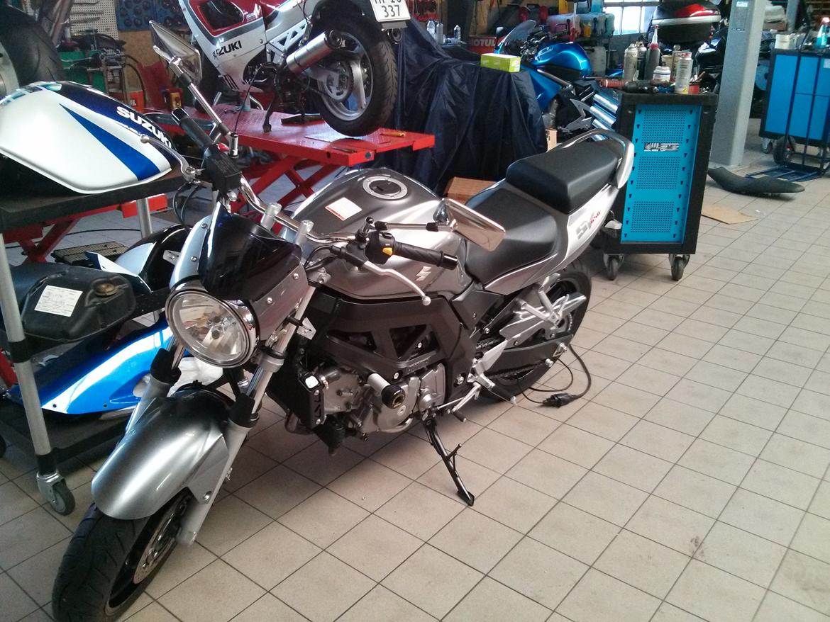 Lidt nyt på grislingen billede 2