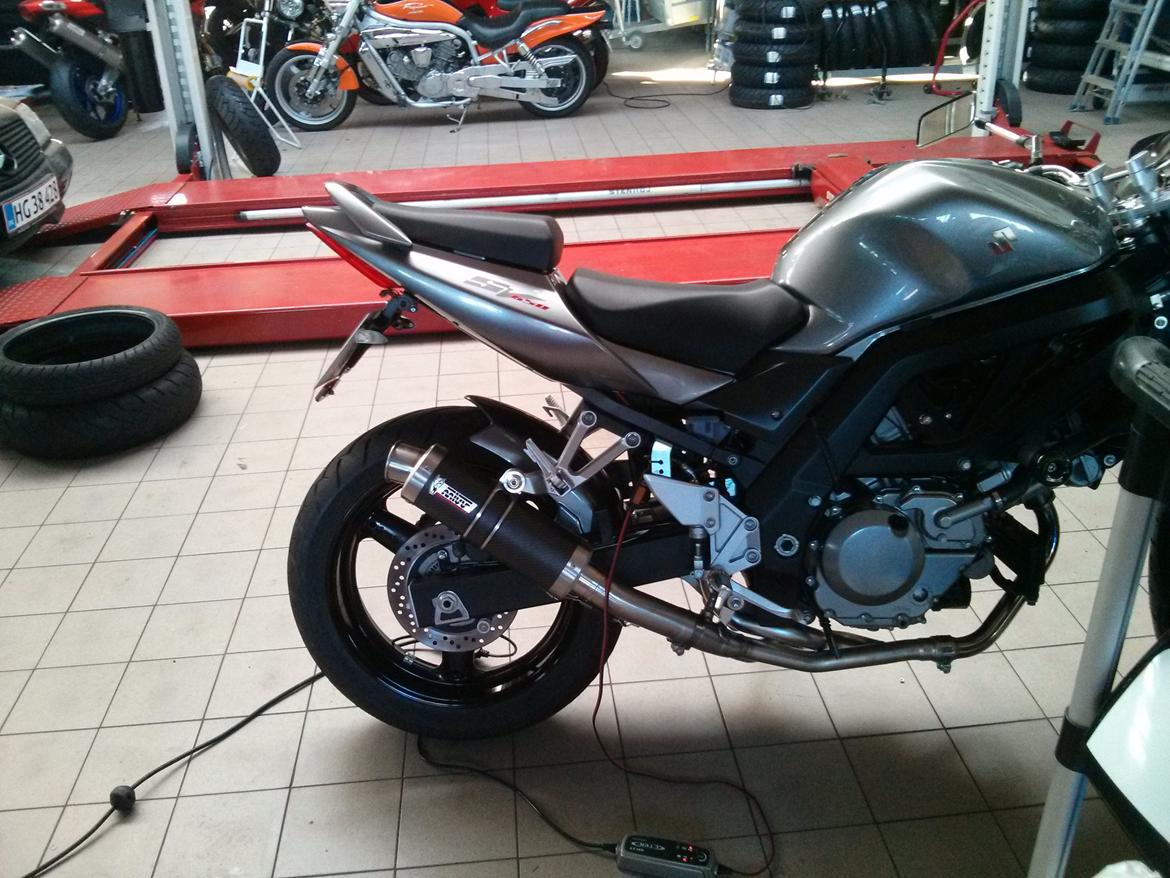 Lidt nyt på grislingen billede 3