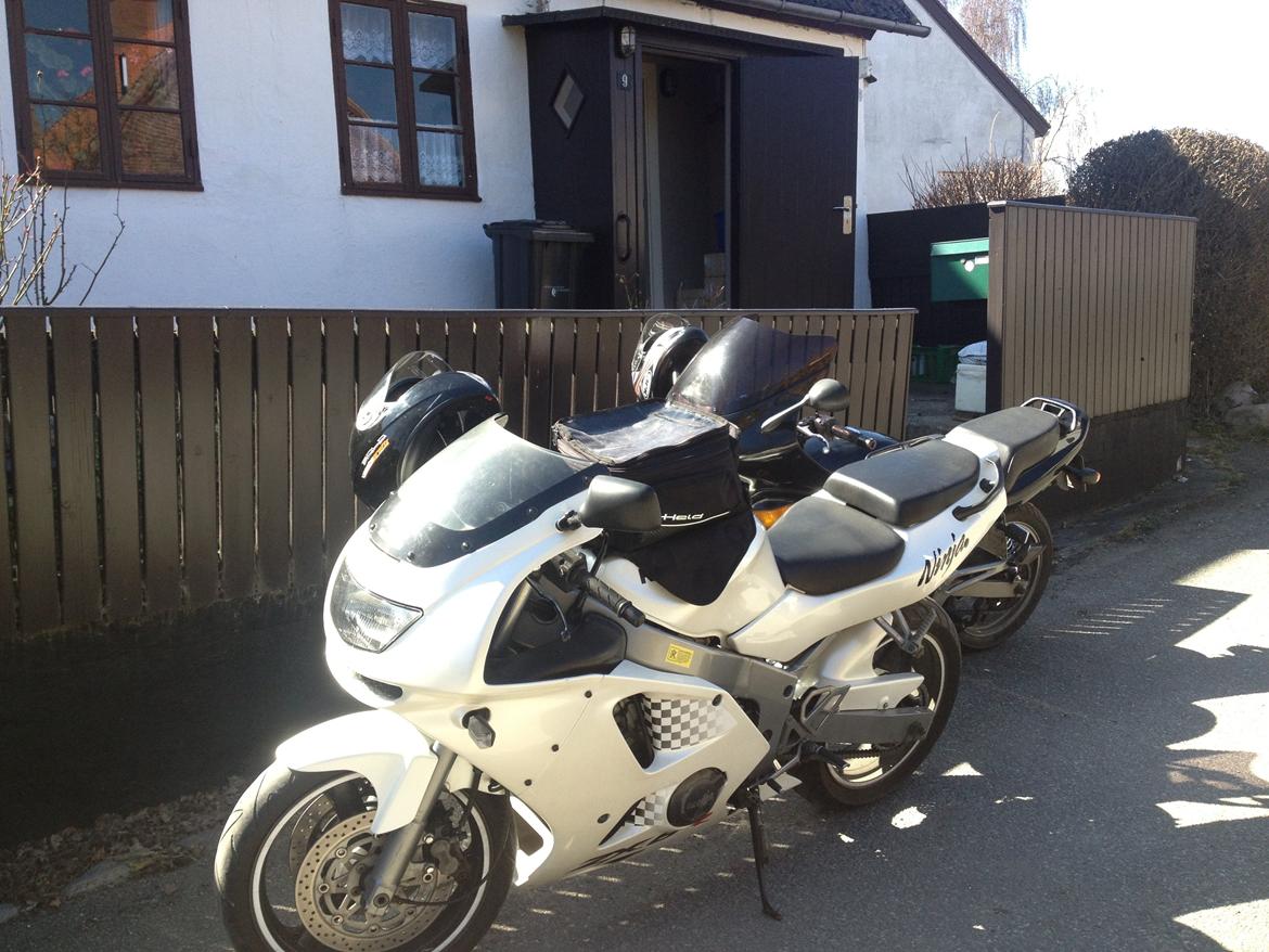 Diverse hygge ture - 20130420 Nyord billede 15