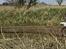 Motocross
