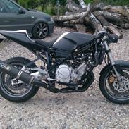 fz 750