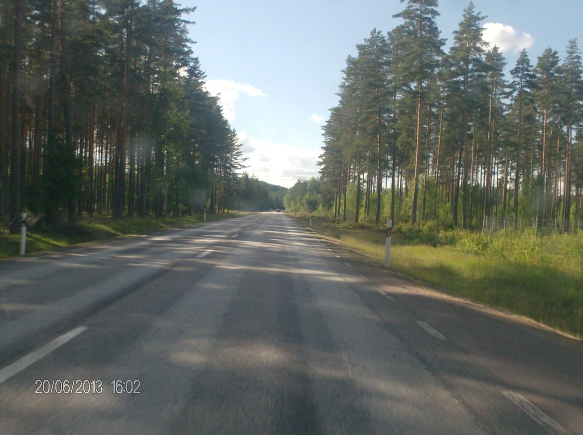 Midsommer i Sverige billede 7