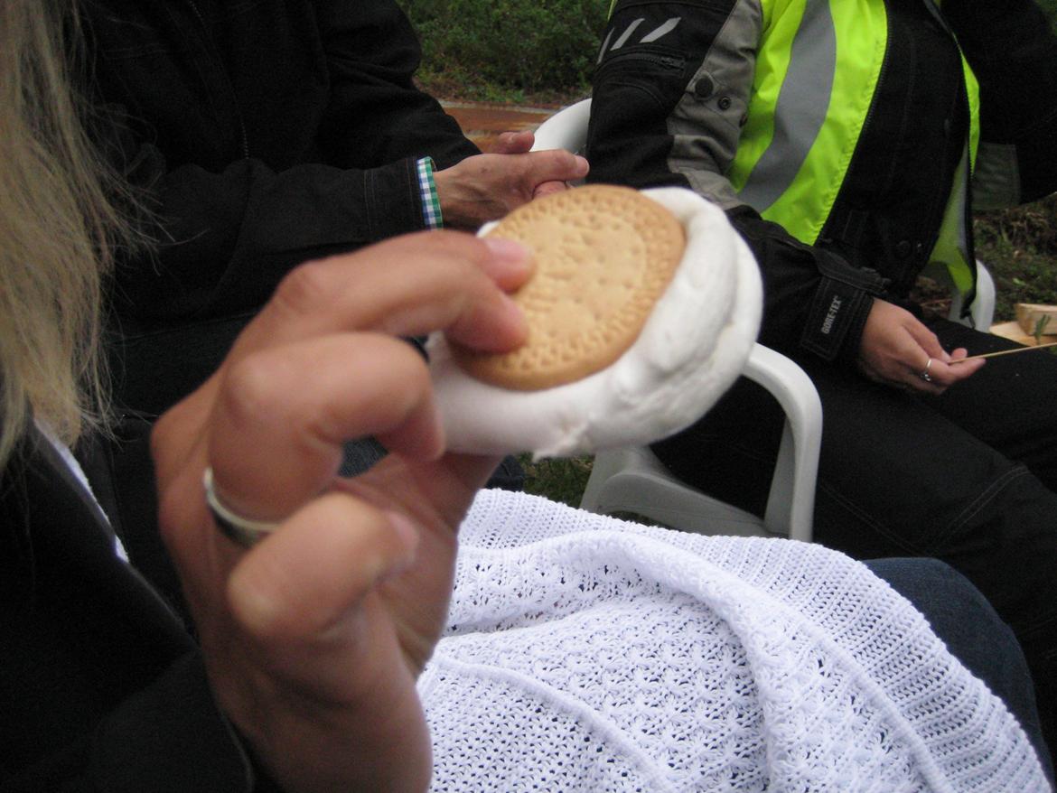 Midsommer i Sverige billede 24