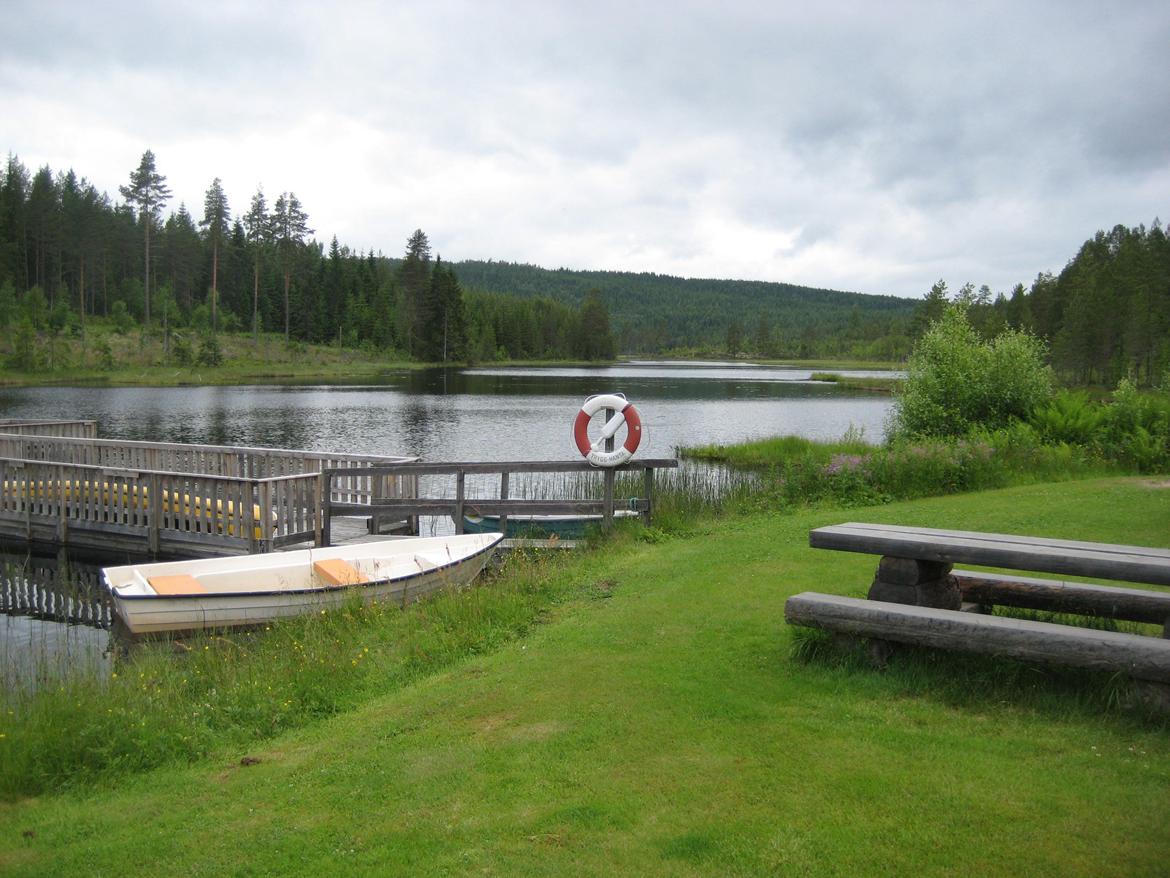 Midsommer i Sverige billede 28