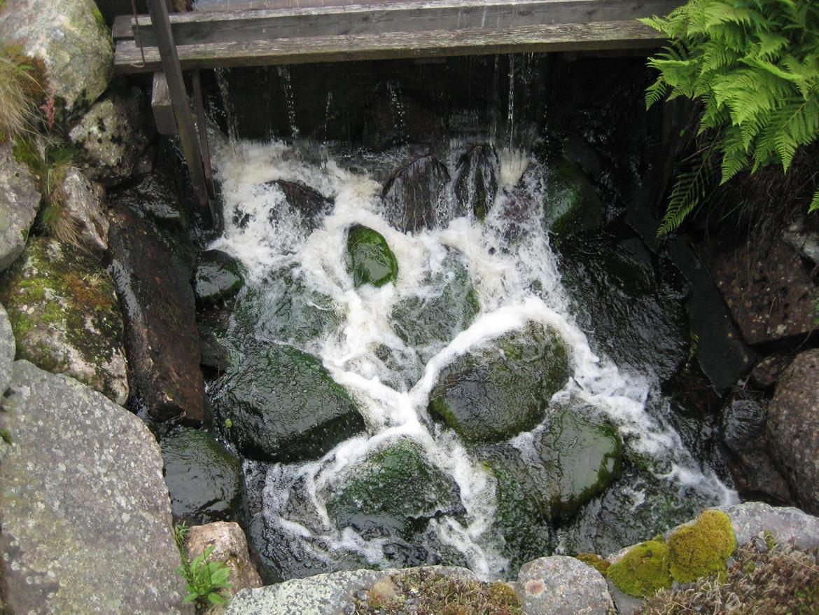 Midsommer i Sverige billede 29