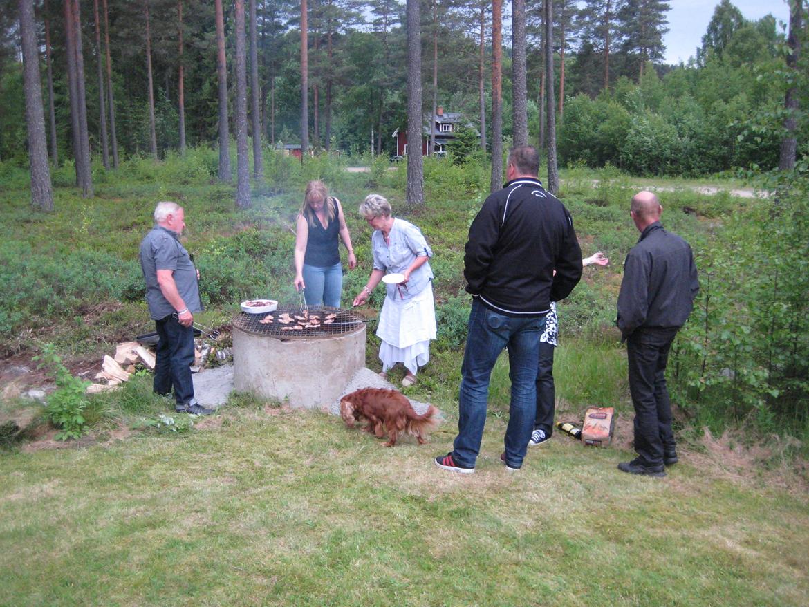 Midsommer i Sverige billede 38