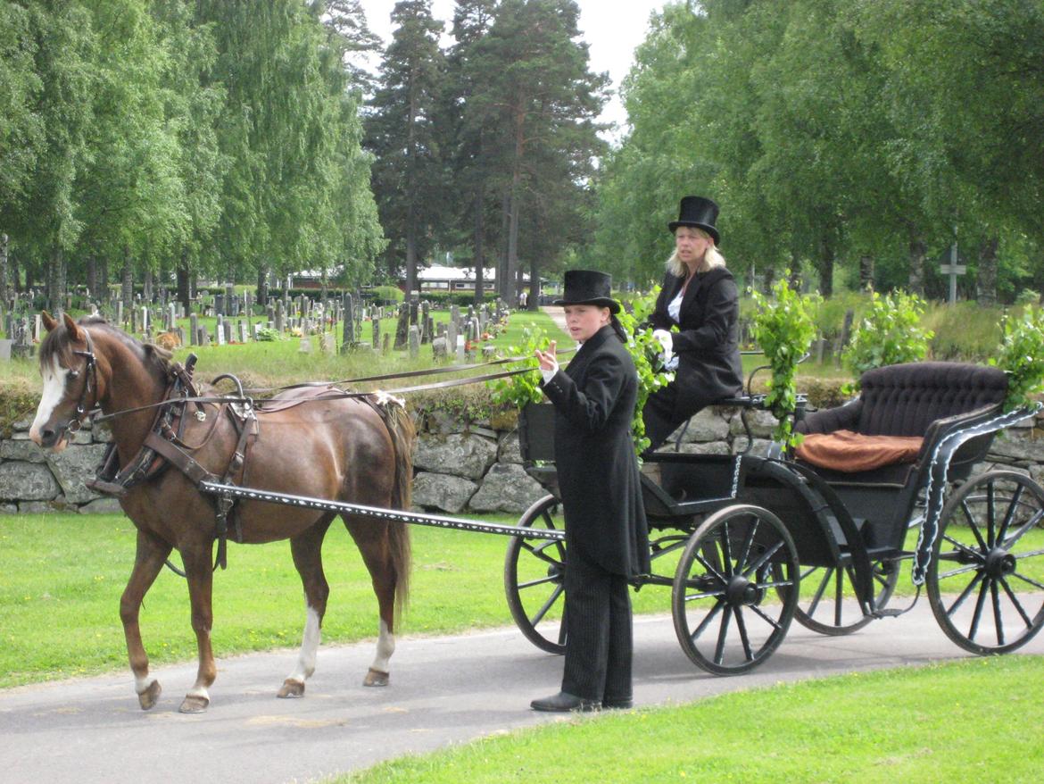 Midsommer i Sverige billede 59