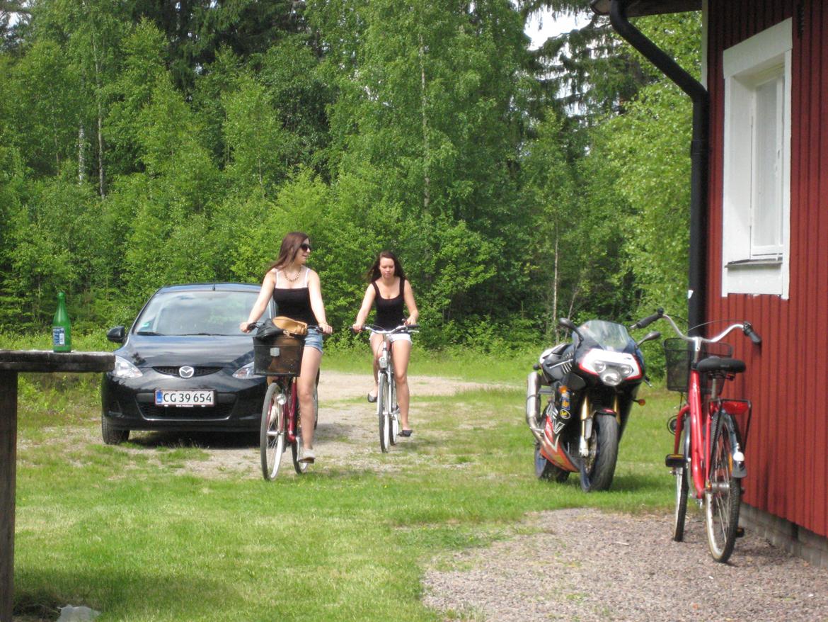 Midsommer i Sverige billede 66