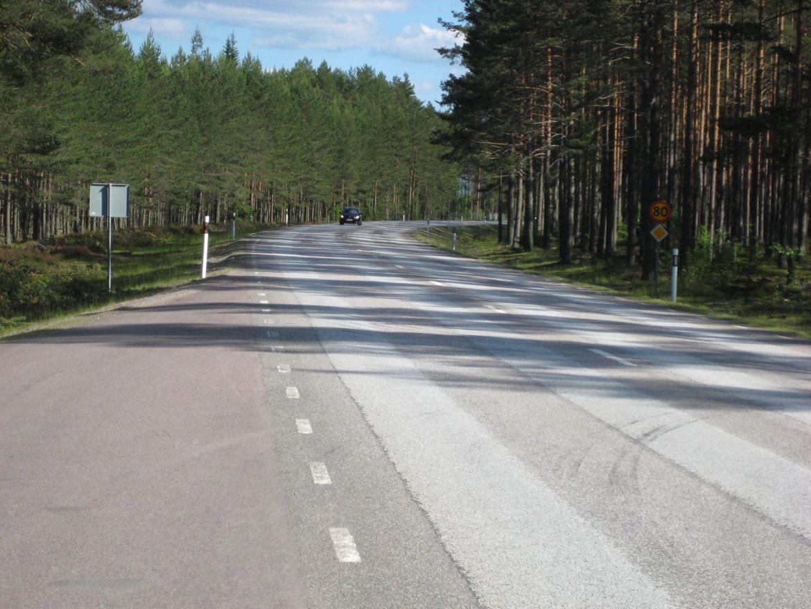 Midsommer i Sverige billede 73