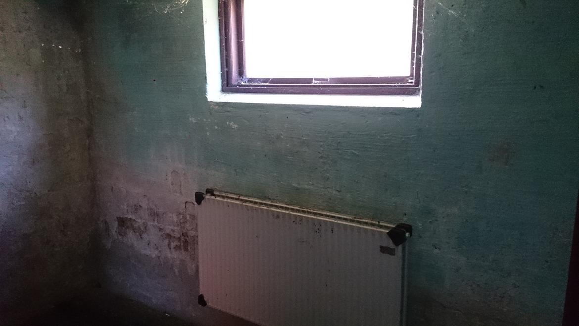 makrel. 30 År efter. Agerlandsvej 19. billede 36