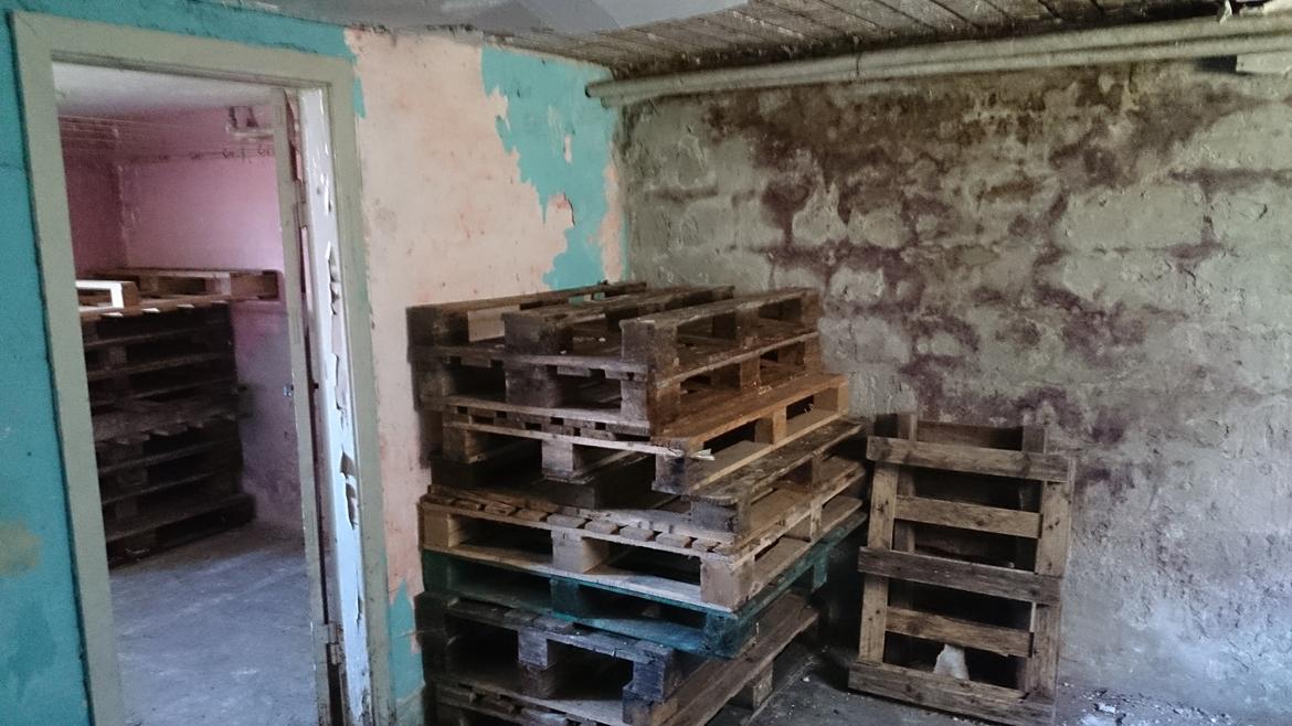 makrel. 30 År efter. Agerlandsvej 19. billede 35