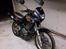Honda NX 650 Dominator projekt motard