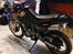 Honda NX 650 Dominator projekt motard