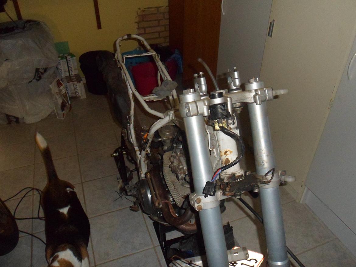 renovering/ombygning til gade motard yamaha tt 600 e balgarda (solgt) billede 50