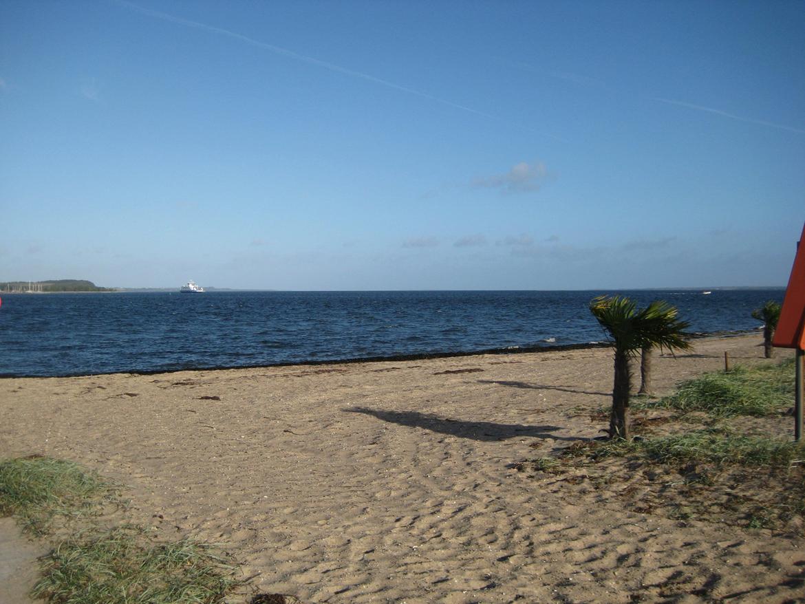 Salling Vestjylland Snøvserne - Stranden ved Hvalpsund billede 3