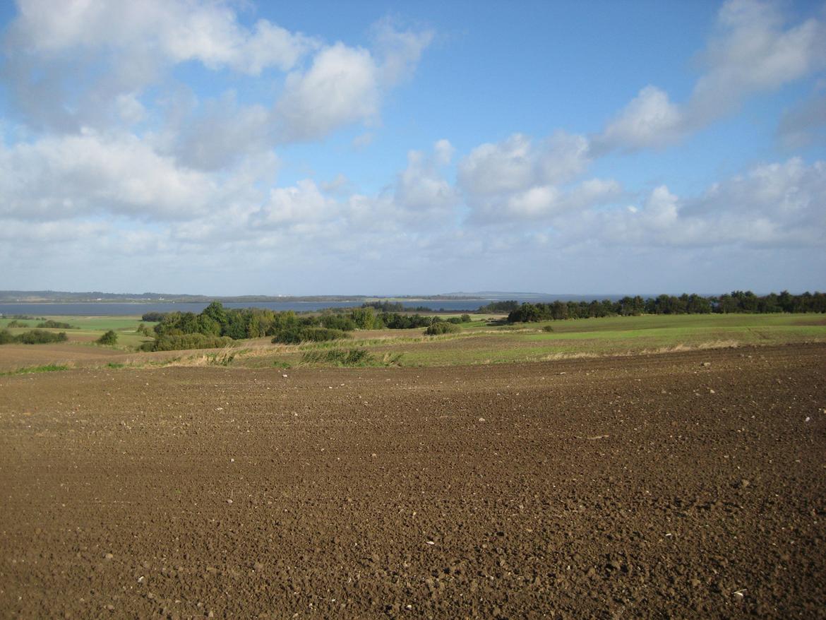 Salling Vestjylland Snøvserne billede 7