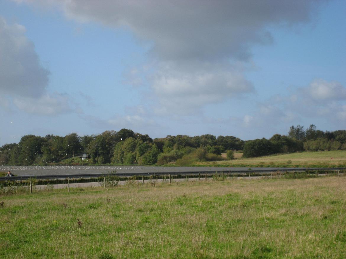 Salling Vestjylland Snøvserne billede 15