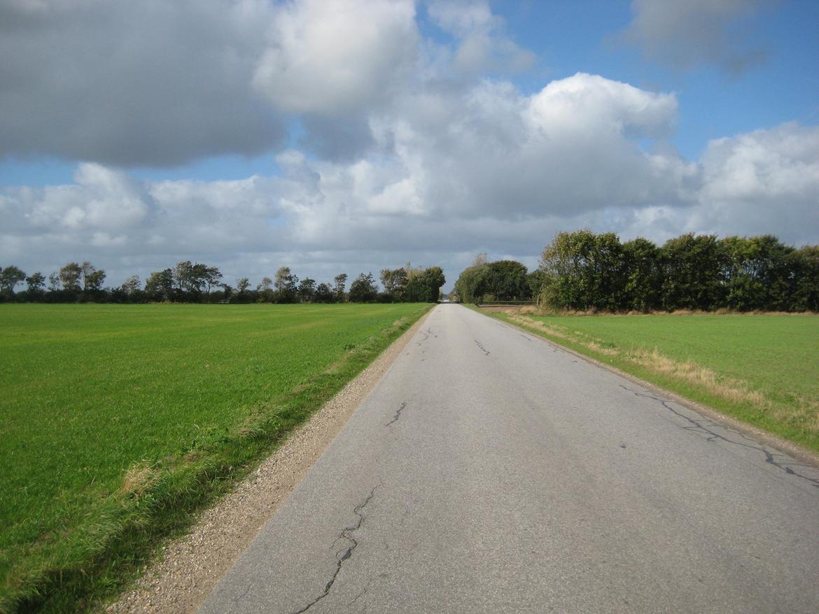 Salling Vestjylland Snøvserne - Nord for Borris, fladere end jeg er vant til billede 19