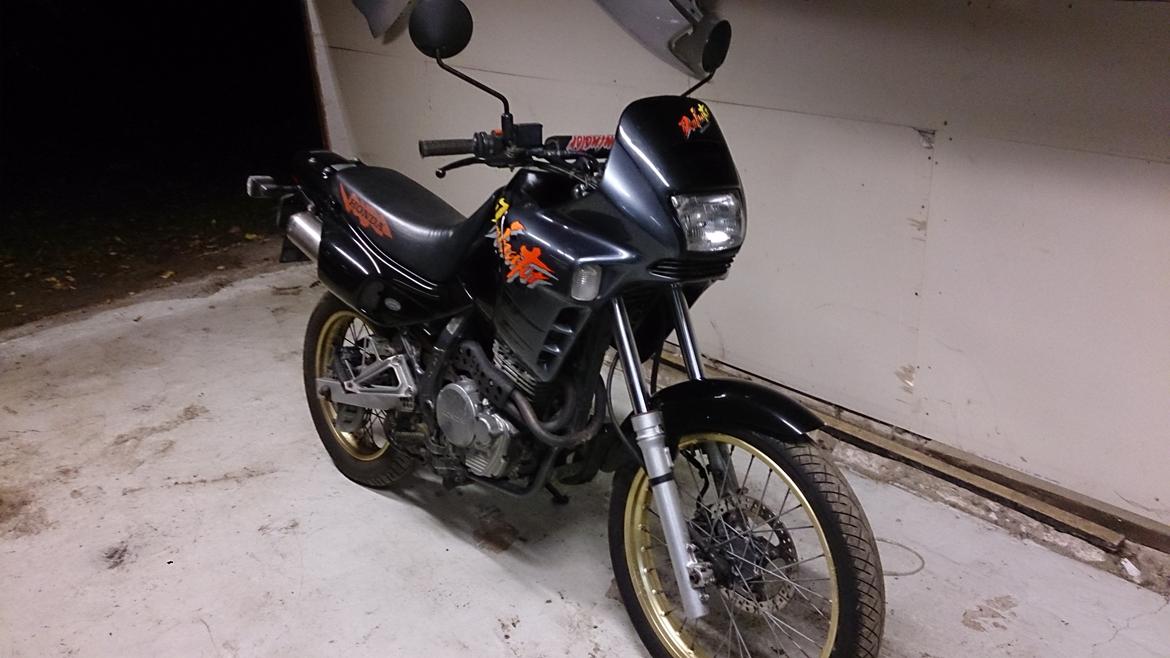 Honda NX 650 Dominator projekt motard billede 2