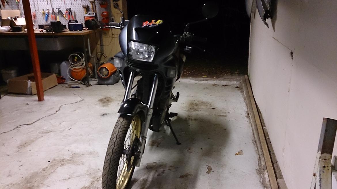 Honda NX 650 Dominator projekt motard billede 4