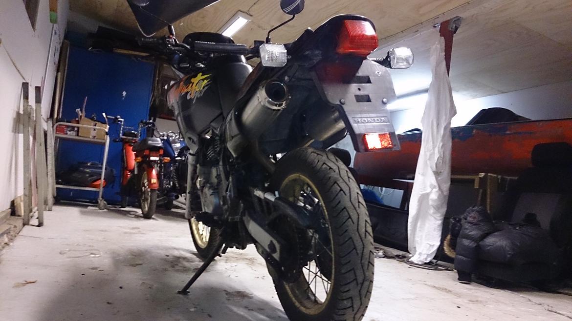 Honda NX 650 Dominator projekt motard billede 6