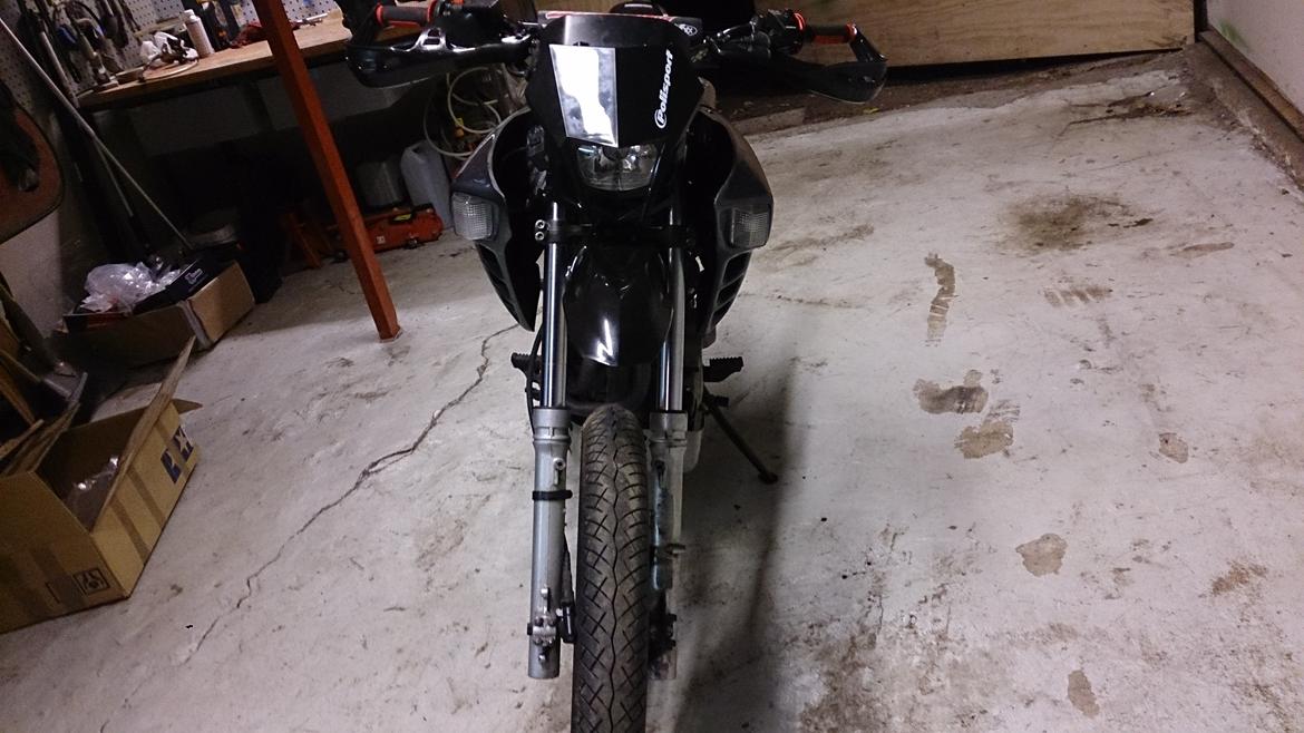 Honda NX 650 Dominator projekt motard billede 10