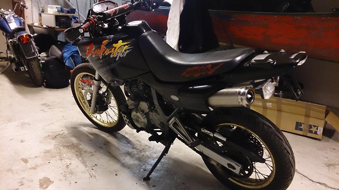 Honda NX 650 Dominator projekt motard billede 14