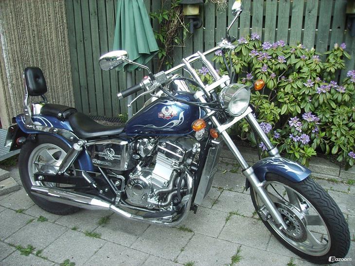 Regal Raptor DD250E-9B styling projekt billede 20