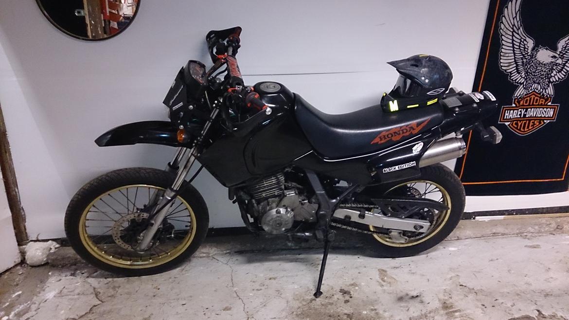 Honda NX 650 Dominator projekt motard billede 31
