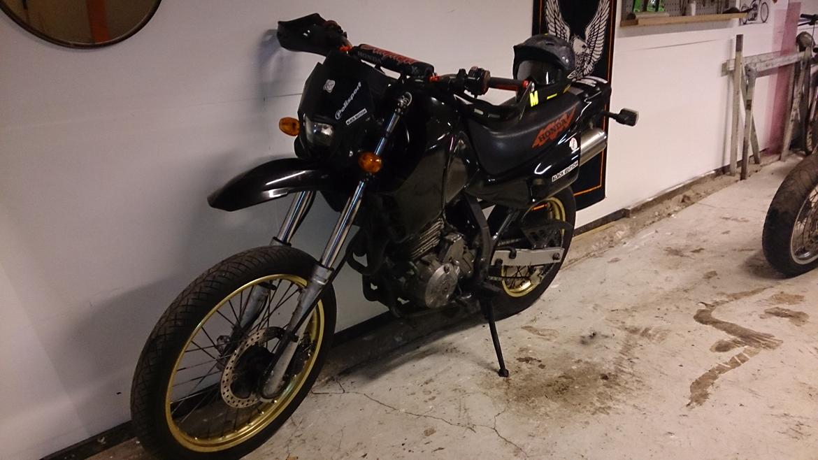Honda NX 650 Dominator projekt motard billede 32