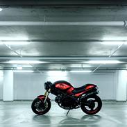 Mikkel's Ducati Monster