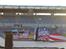 Nitro Circus Live