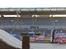 Nitro Circus Live