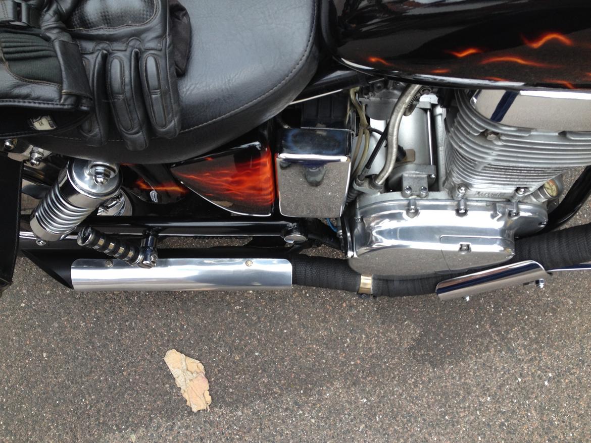 LS650 billede 379