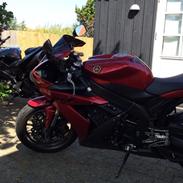 Yamaha r1-2005