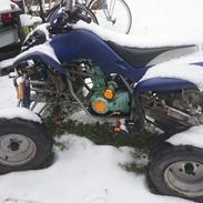 Hvilket mærke ATV?
