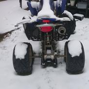 Hvilket mærke ATV?