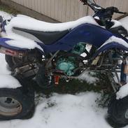 Hvilket mærke ATV?